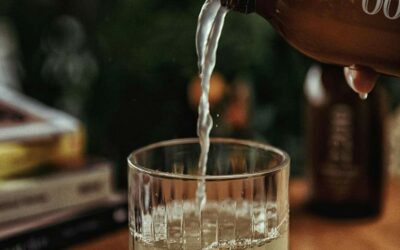 Boissons sans alcool : un levier de croissance pour les CHR